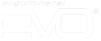 logo evo